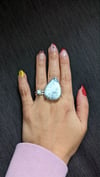 Dendritic Opal Teardrop Ring