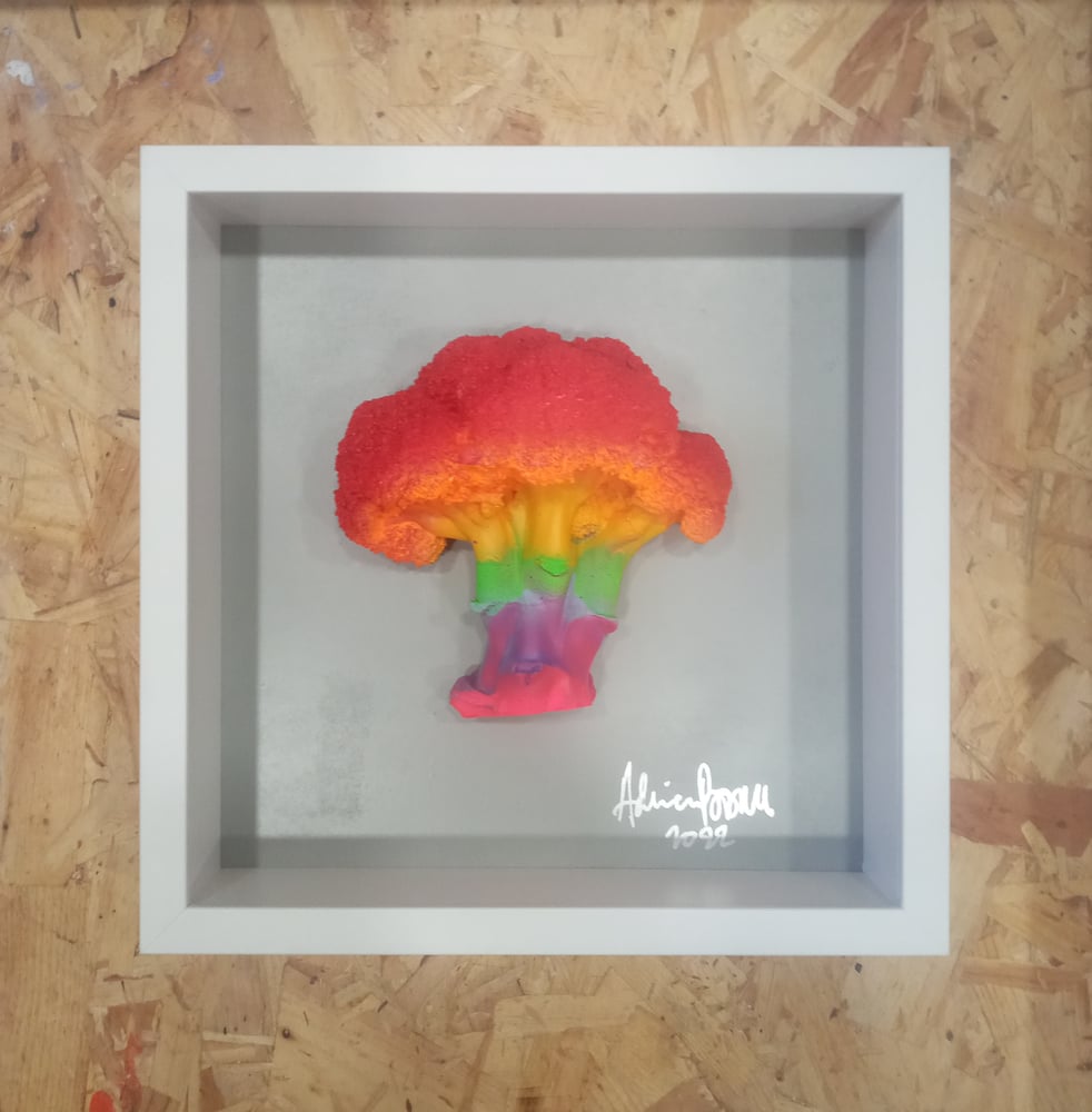 Image of RAINBOW IX