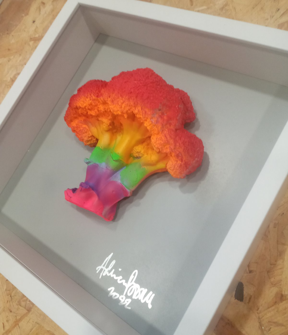 Image of RAINBOW IX