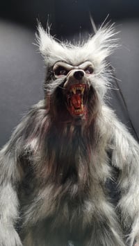 Image 1 of Werewolf