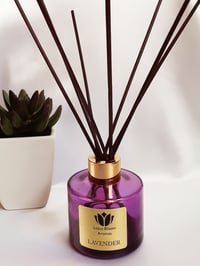 Lavender (Purple Reed Diffuser)