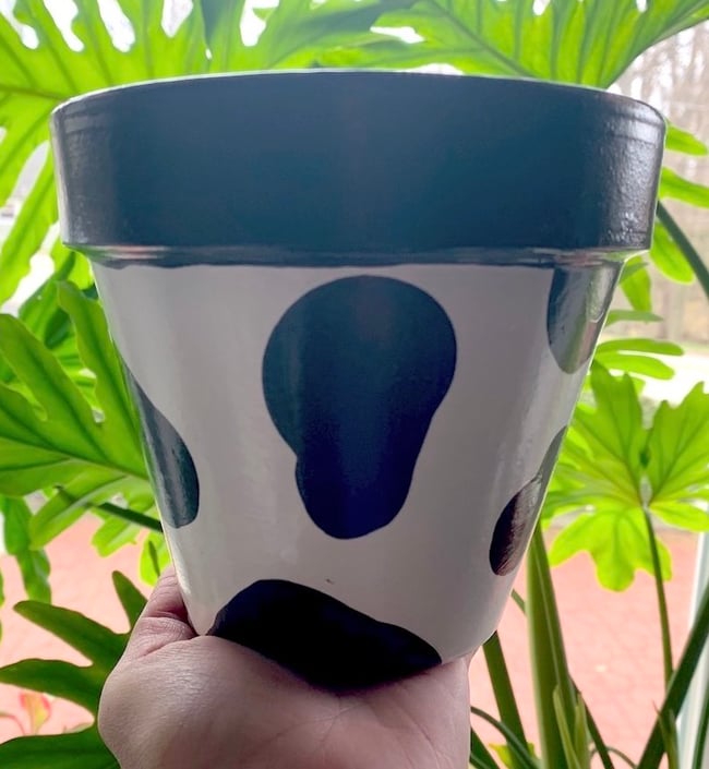 MOO 6" - SMALL TERRACOTTA POT