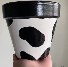 MOO 6" - SMALL TERRACOTTA POT