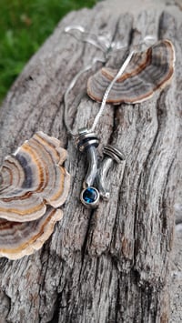 Image 2 of Mushrooms and Topaz 