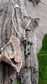 Image 4 of Mushrooms and Topaz 