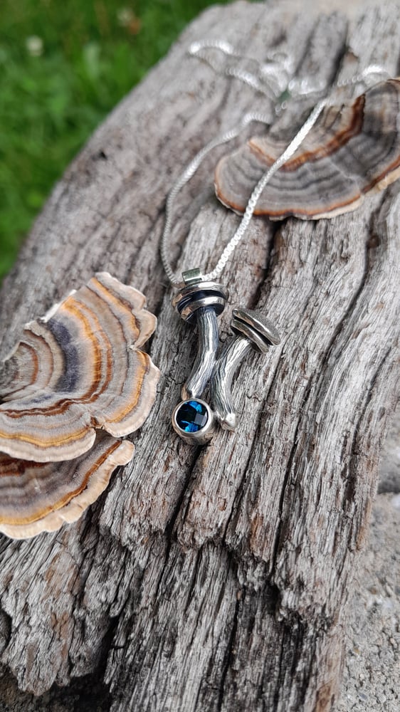 Image of Mushrooms and Topaz 