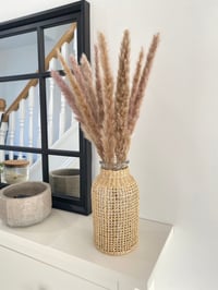 15Pcs Dried Small Pampas Grass Flowers 