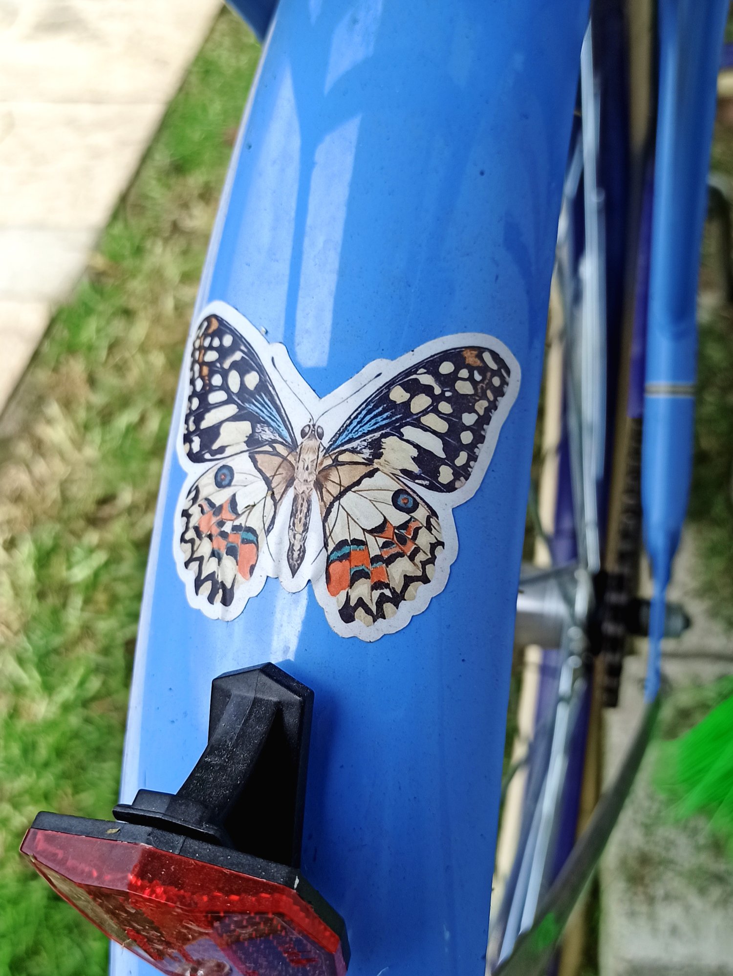 Image of Butterfly sticker, vinyl, Waterproof and weather proof.