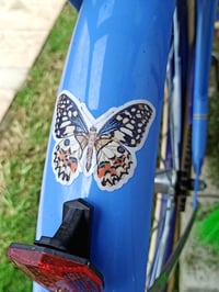 Image 5 of Butterfly sticker, vinyl, Waterproof and weather proof.