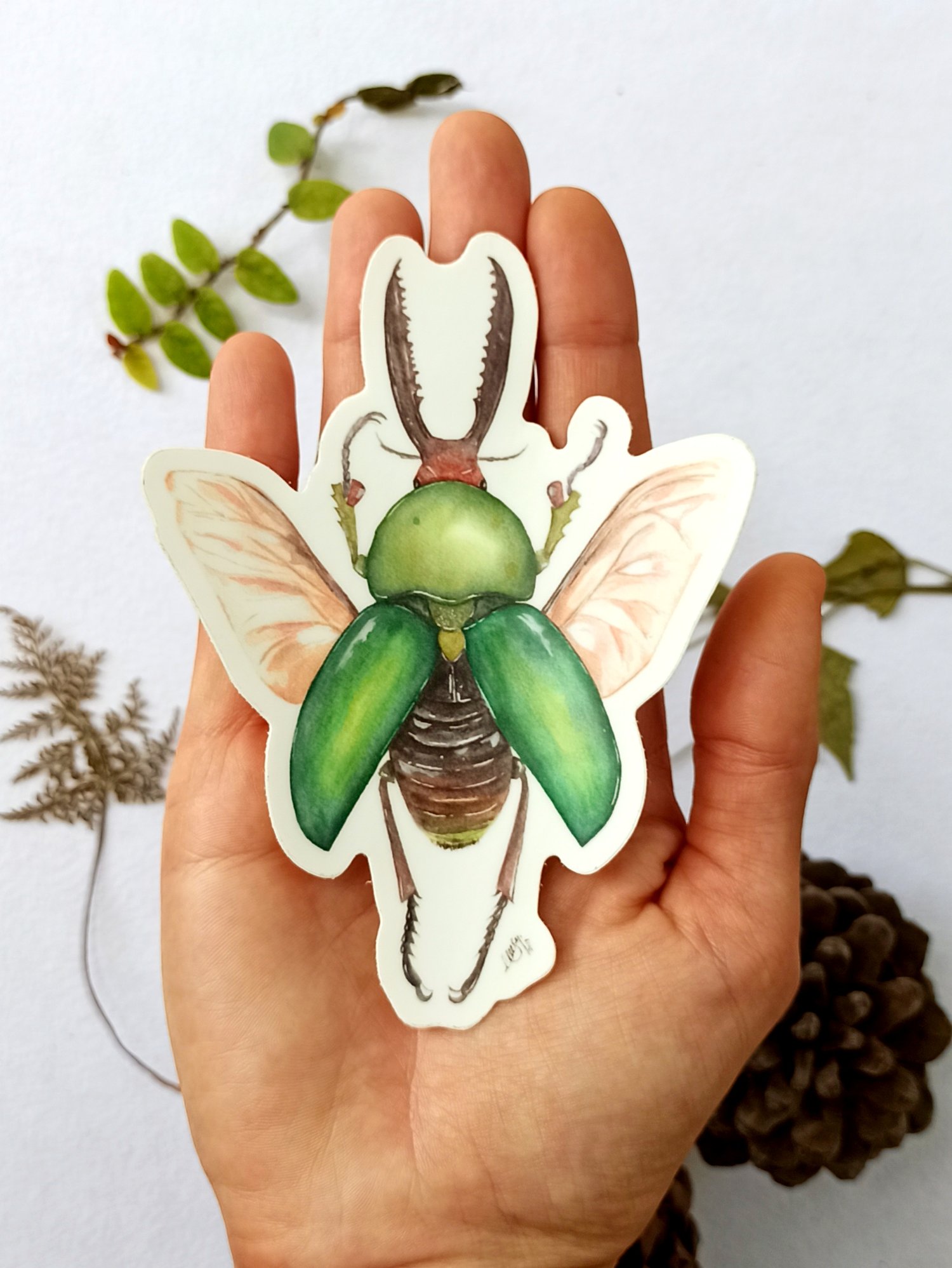 Image of Beetle Bumper sticker