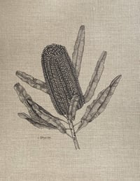 Image 1 of 'The Winter Banksia' Original Drawing