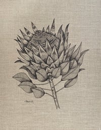 Image 1 of 'The Majestic Protea' Original Drawing