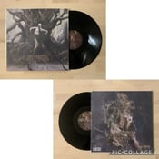 Image of Official Arsebreed "Butoh" Full Album Vinyl Album! Brutal Mind – BM002LP