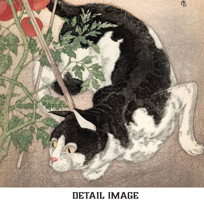 Black Cat And Tomato Plant | Shotei Takahashi | Ukiyo-e | Japanese ...