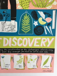 Image 2 of A VOYAGE OF DISCOVERY