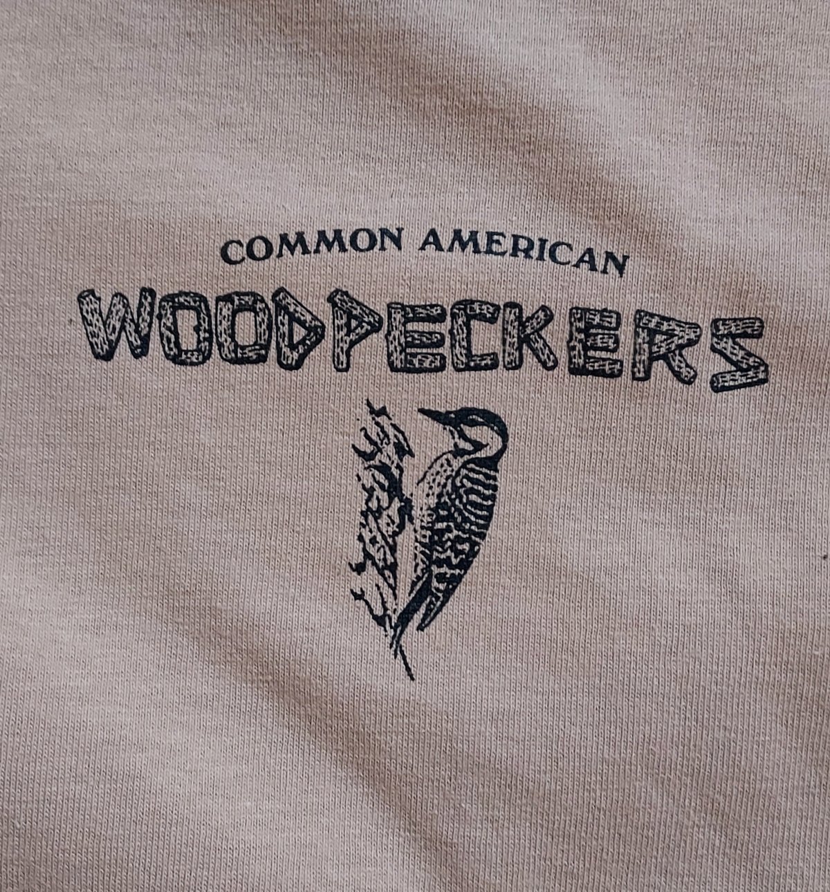 Image of Common American Woodpeckers 