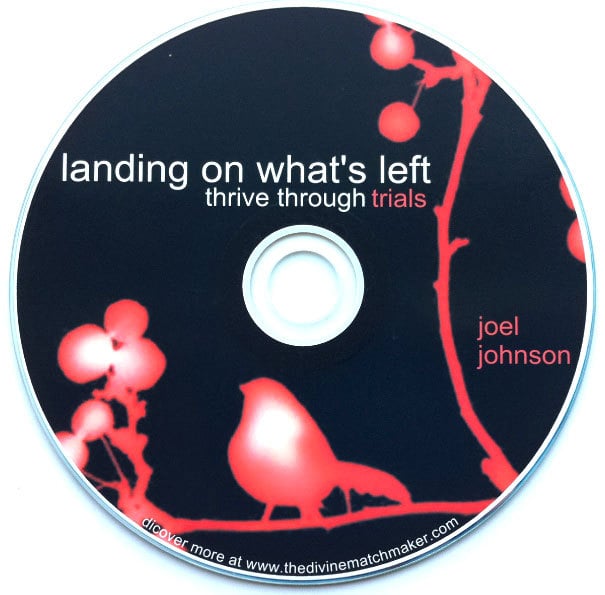 Image of Landing on What's Left CD
