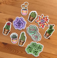 Cacti Stickers
