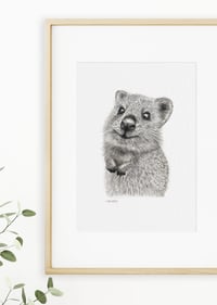 Image 2 of 'Ralph' the Quokka Fine Art Print