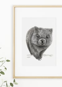 Image 2 of 'Bernie' the Wombat Fine Art Print