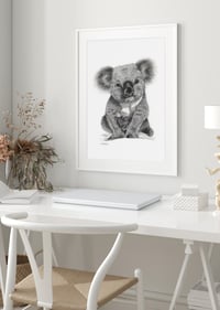 Image 2 of 'Bert' the Koala Fine Art Print