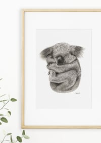 Image 2 of 'Kevin' the Koala Fine Art Print