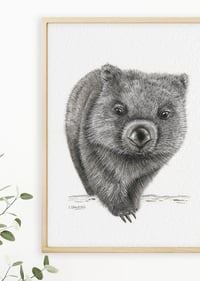 Image 3 of 'Bernie' the Wombat Fine Art Print