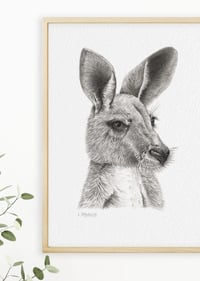 Image 3 of 'Geraldine' the Kangaroo Fine Art Print