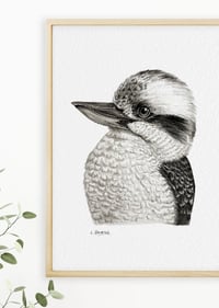 Image 3 of 'Keith' the Kookaburra Fine Art Print