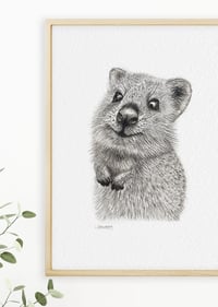 Image 3 of 'Ralph' the Quokka Fine Art Print