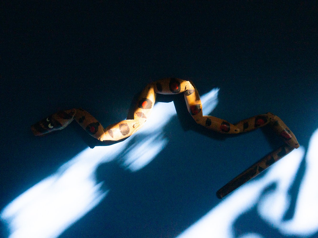 Image of wiggly snake