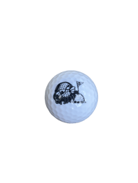 Image of s18 golf balls