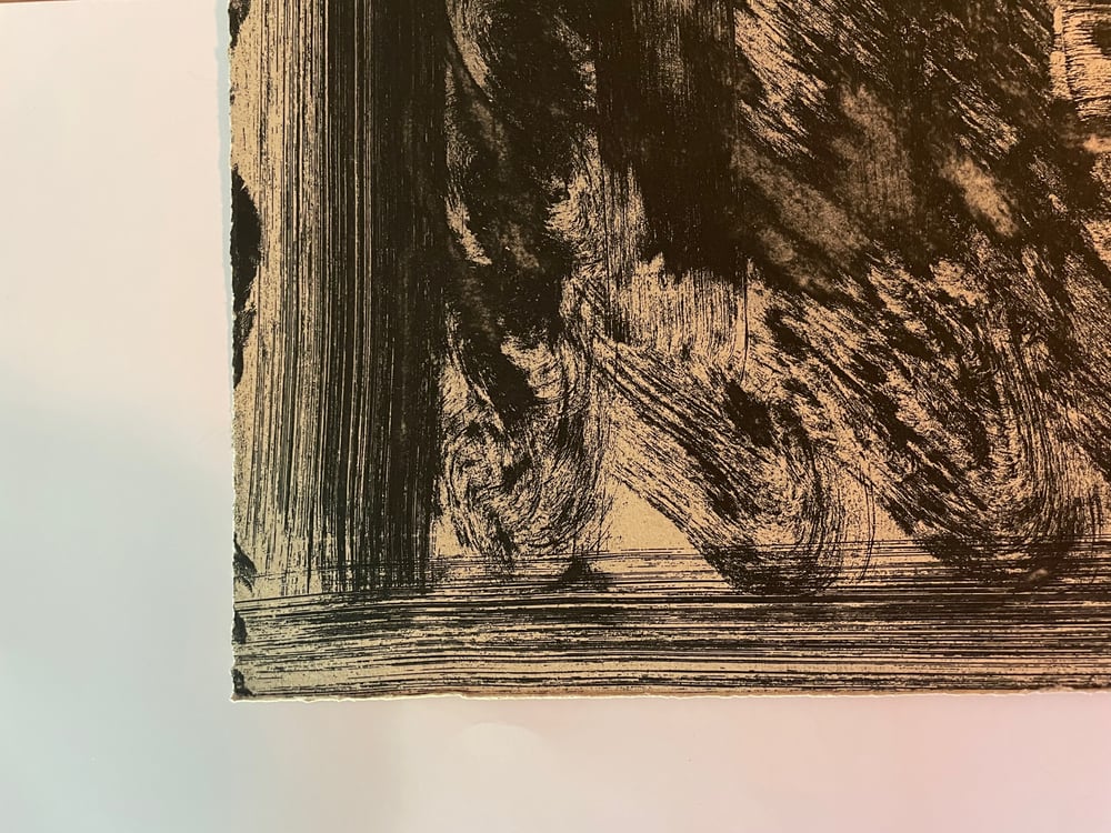 Image of howard hodgkin / Thinking Aloud in the Museum of Modern Art / 30/095