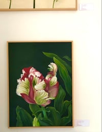 Image 3 of The Movement of a Tulip