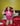 Brucci Pink