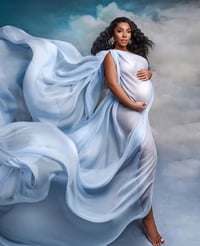 Image 2 of Silk/Chiffon /Tulle fabric