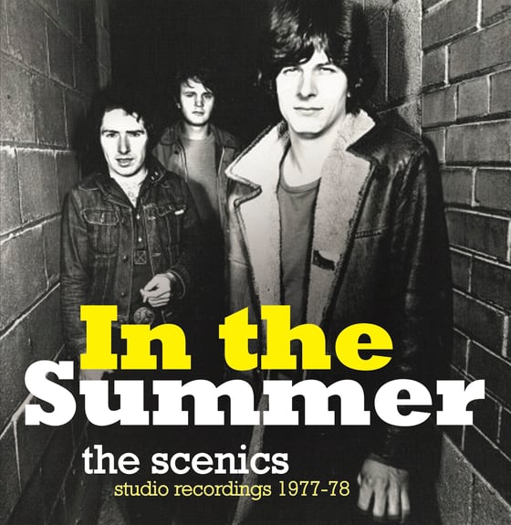 Image of THE SCENICS - IN THE SUMMER (1977-78) LP