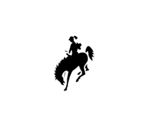 cow girl