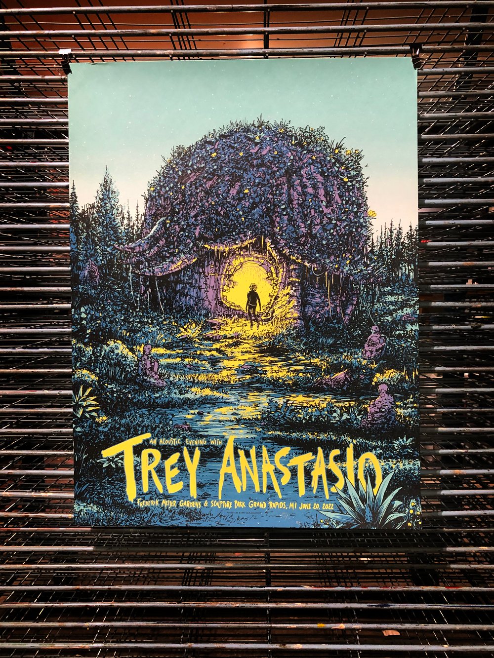 Trey Anastasio 