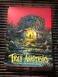 Image 1 of Trey Anastasio Grand Rapids Foil Variant