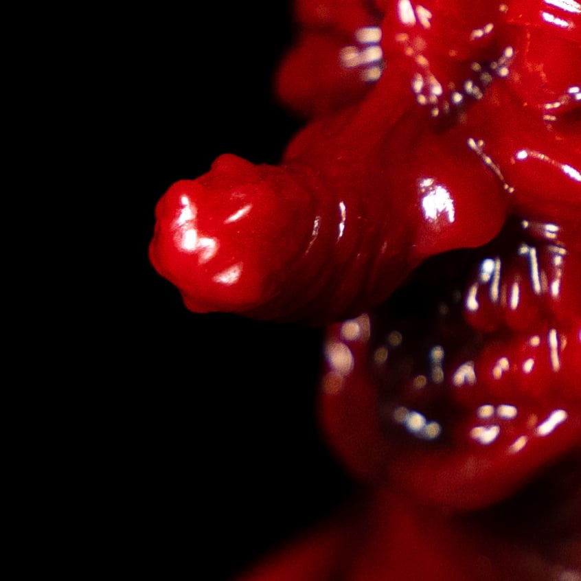 Image of WHO GOES THERE? WAVE 6 CDU (12 x UNITS)