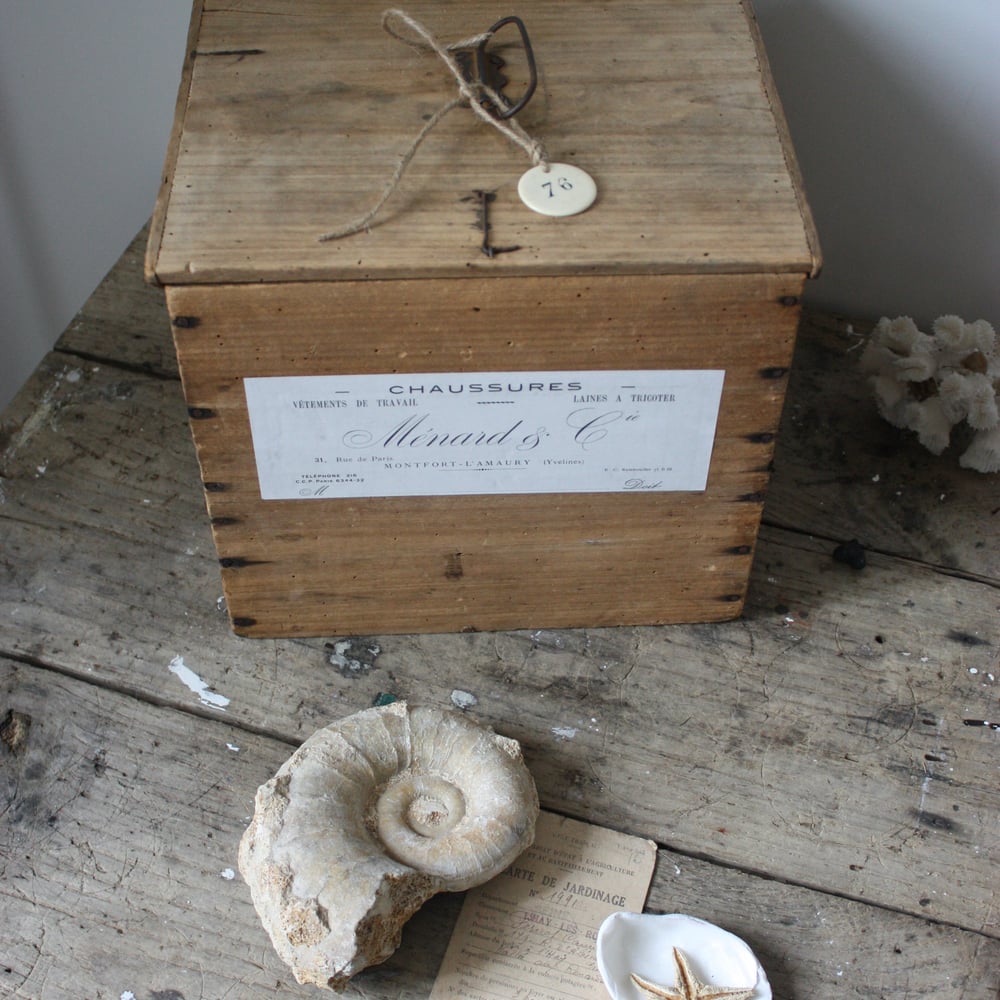 Image of Jolie boite de transport en bois.