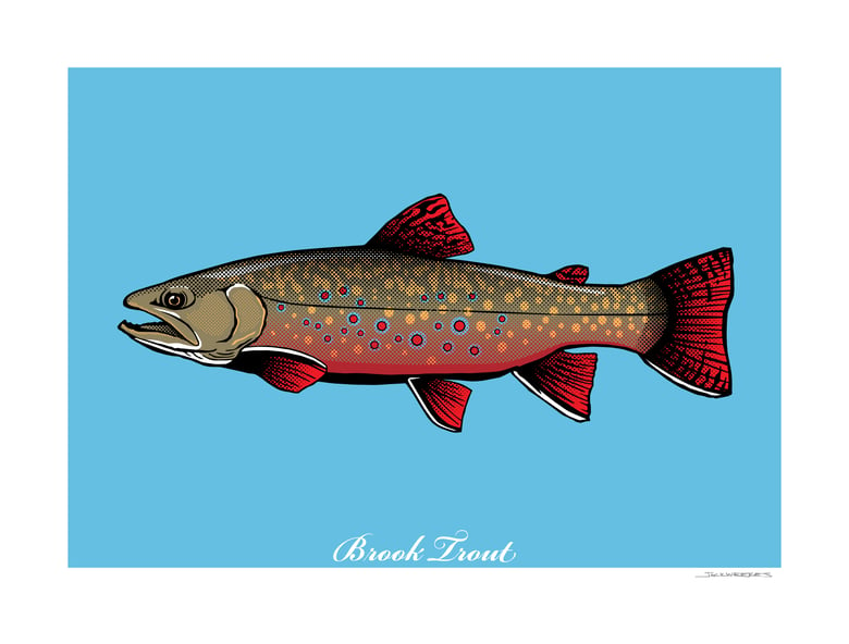 Image of BROOK TROUT 2022