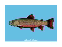BROOK TROUT 2022