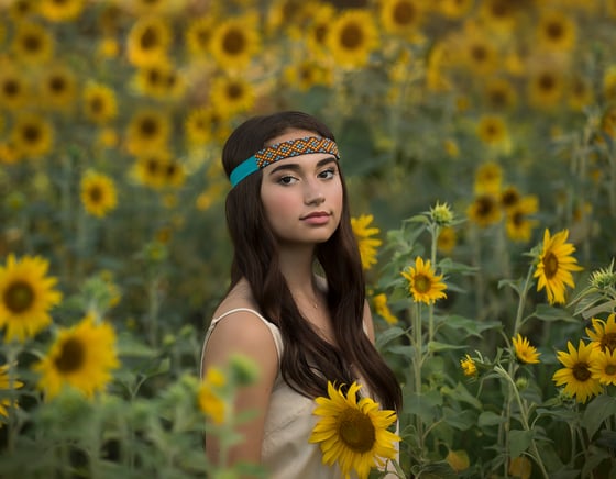 Image of Sunflowers Sessions 