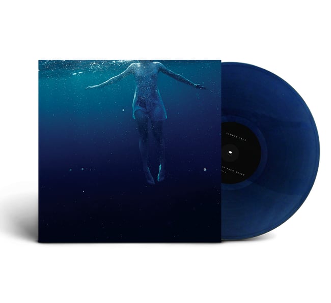 The Shark in Your Water - Vinyl | Flower Face