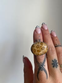 Image 1 of Fossilized Coral Ring