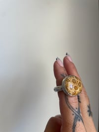Image 2 of Fossilized Coral Ring