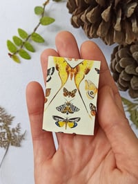 Image 2 of Moth Matchbox