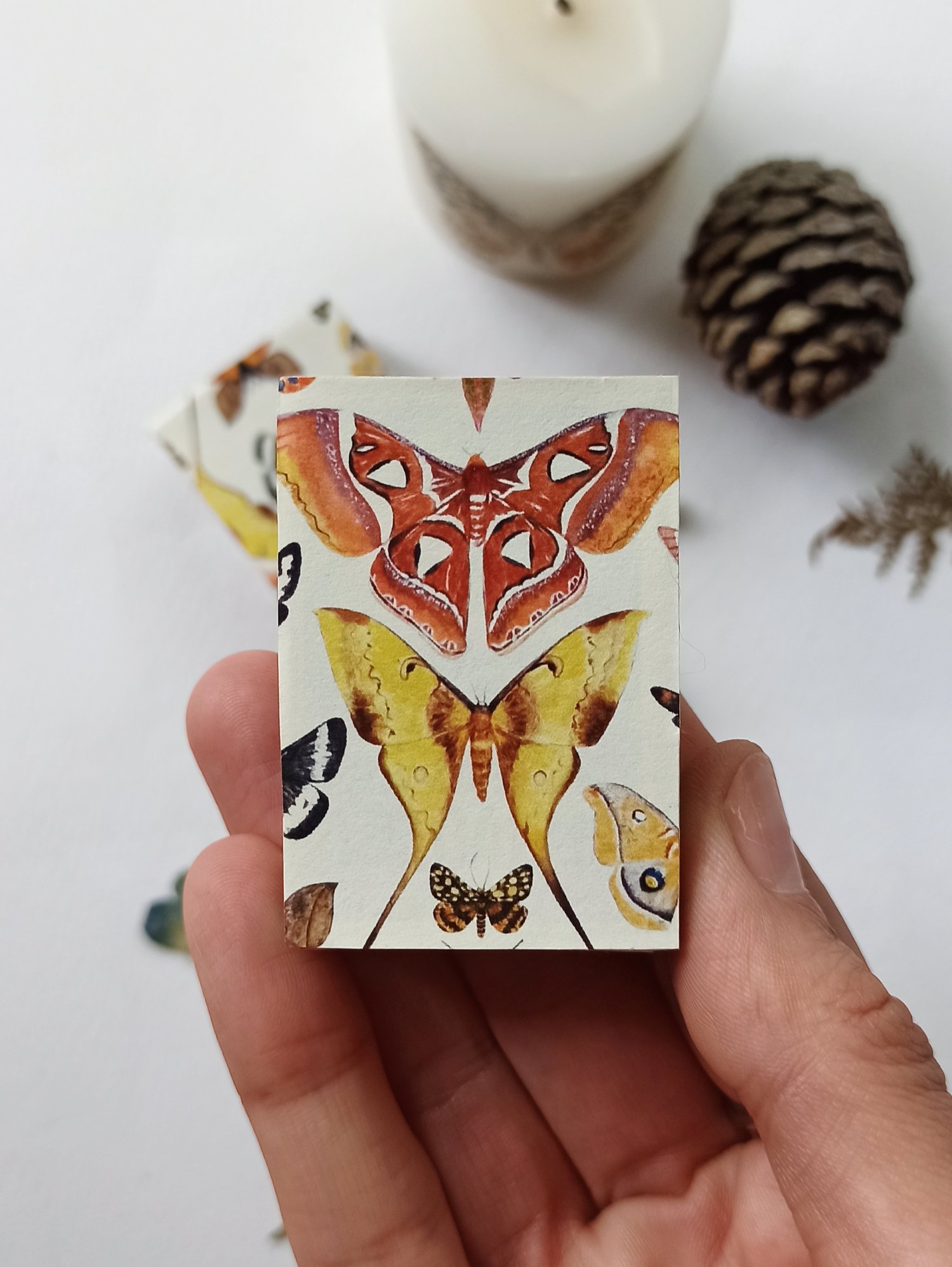Image of Moth Matchbox